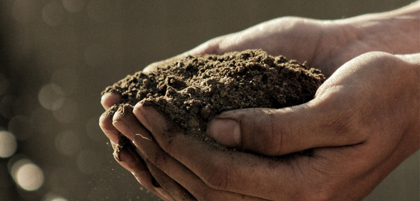 G8全自動石墨消解儀對土壤中Cd、Cr、Cu、Pb、Ni、Zn金屬消解方案