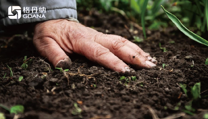 全自動(dòng)石墨消解儀采用冷消解與無(wú)冷消解在土壤應(yīng)用的區(qū)別