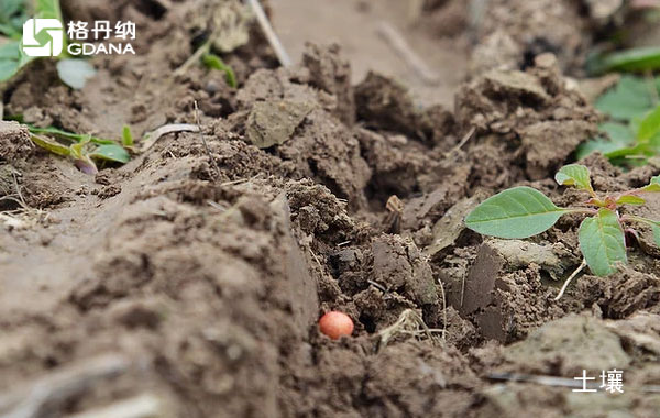實(shí)驗(yàn)陶瓷加熱板不同酸量對(duì)土壤金屬分析影響的重要性